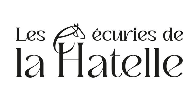 Logo 2